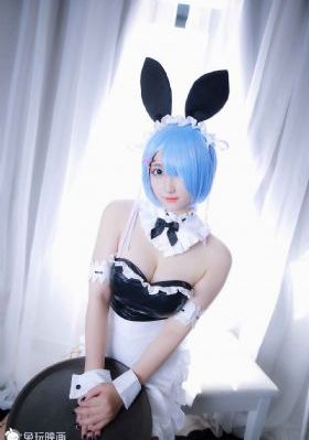 蜜蜂总动员国语版免费